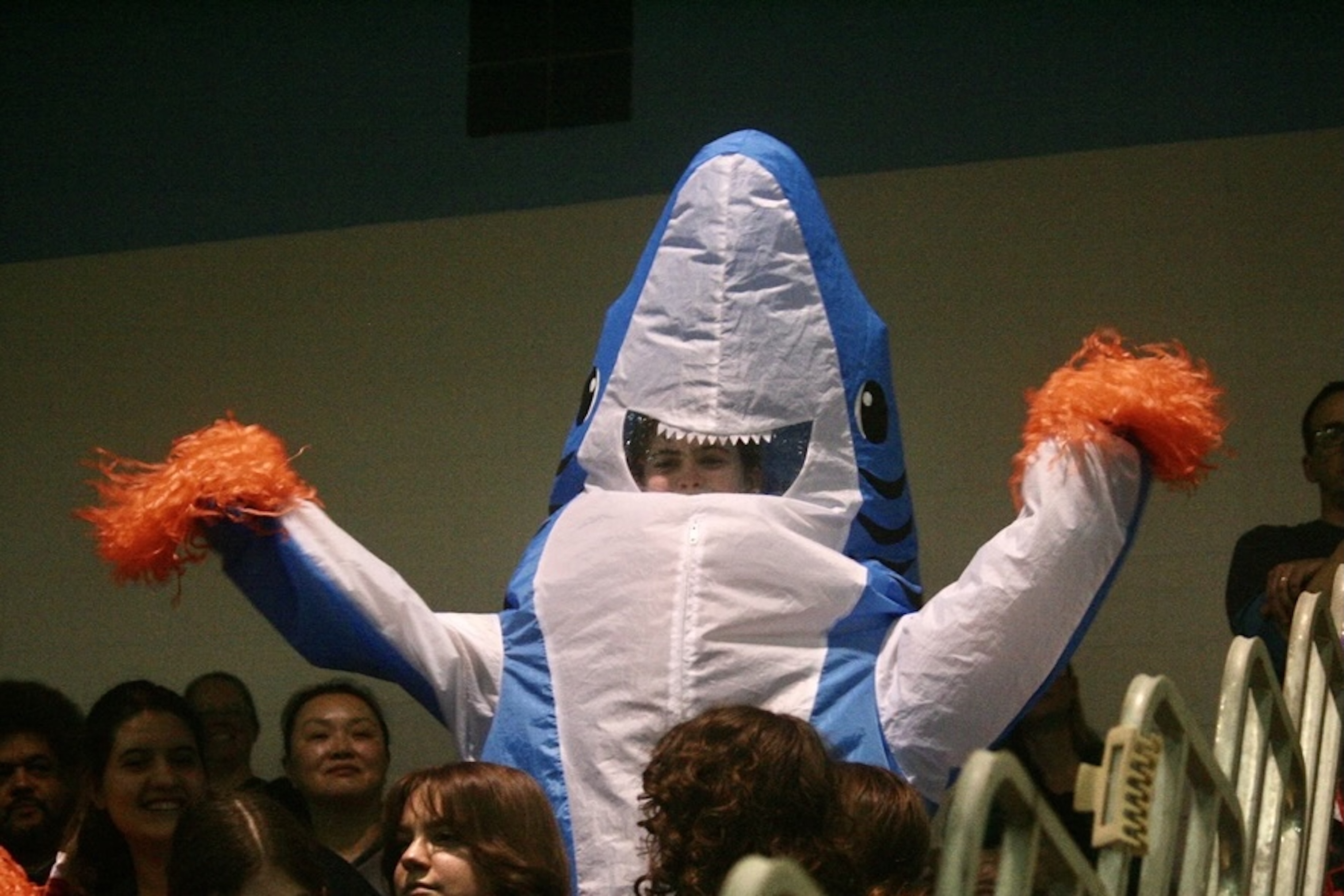 charlotte in the shark