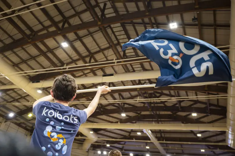 Flag